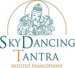 Main Logo Skydancing France