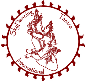 logo SkyDancing Internationnal